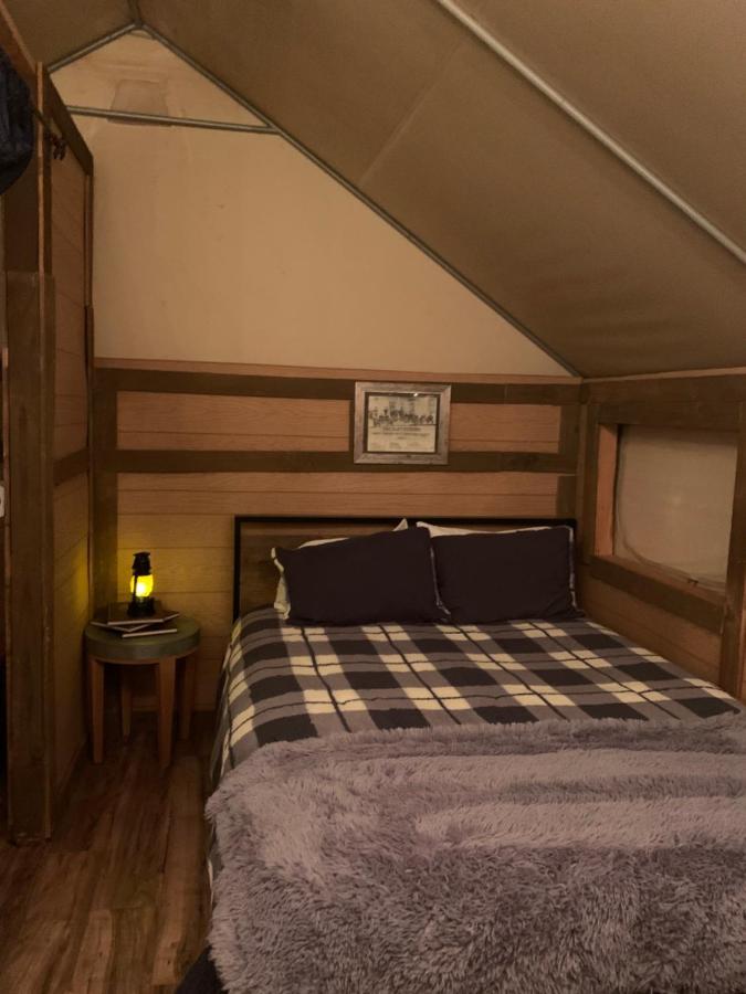 Silver Spur Homestead 图姆斯顿 外观 照片